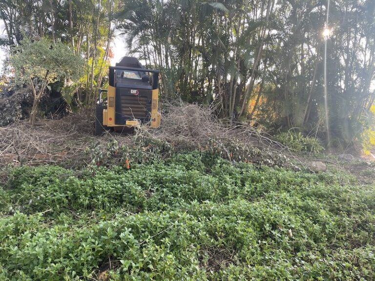 Could Solar Power Help Protect Your Home Against Wildfire